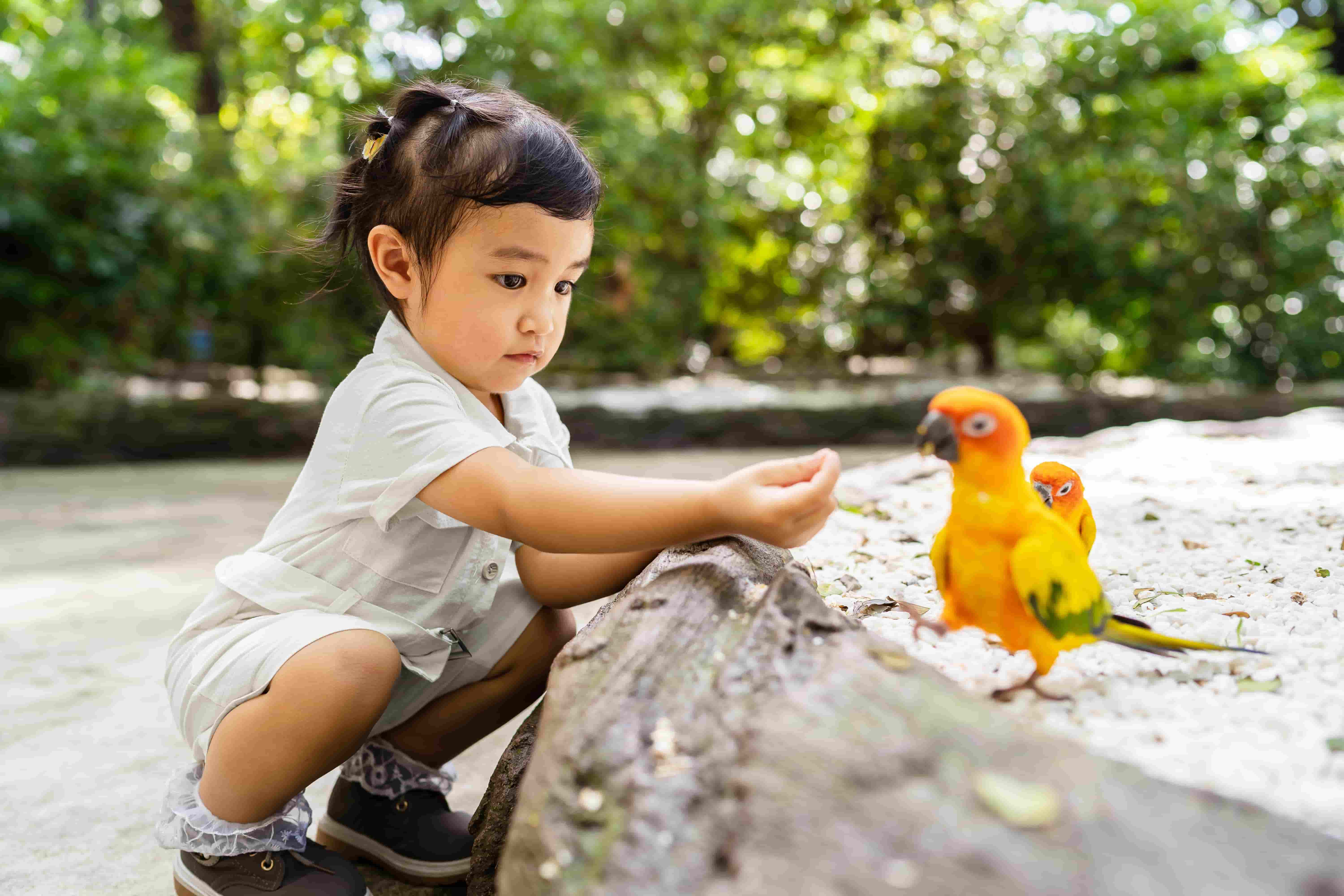 Mengenal Perkembangan pada Si Kecil yang Berusia 2 Tahun