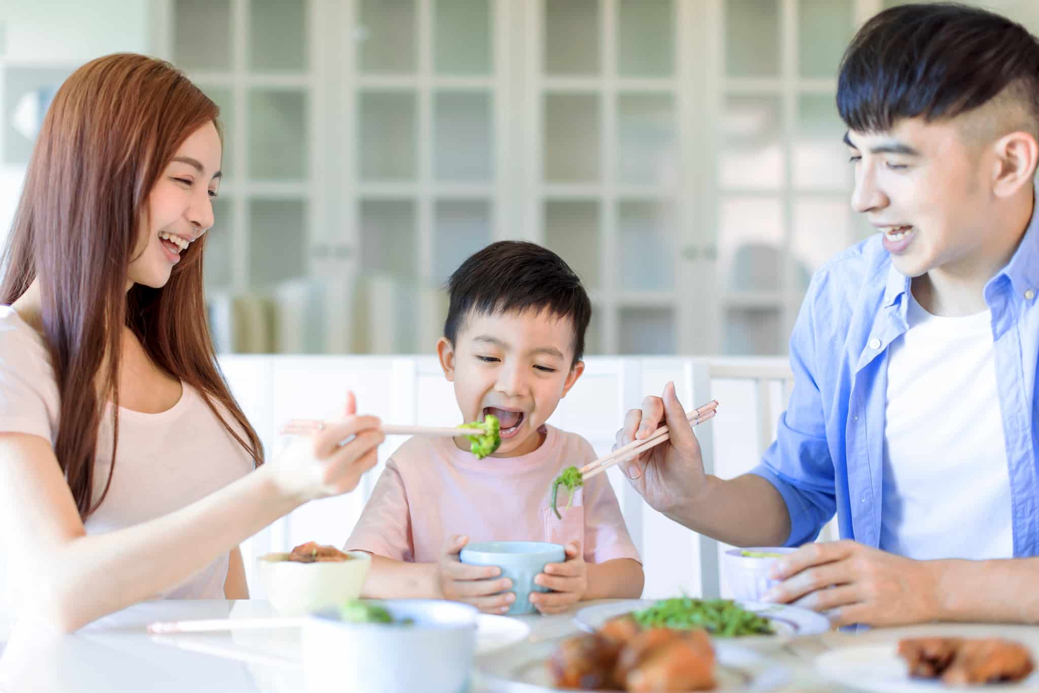 Feeding Rules: Panduan Membangun Kebiasaan Makan Sehat Anak