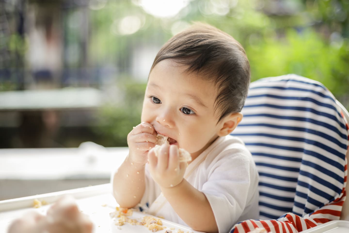 Baby Led Weaning, Panduan Makan Awal untuk Si Kecil