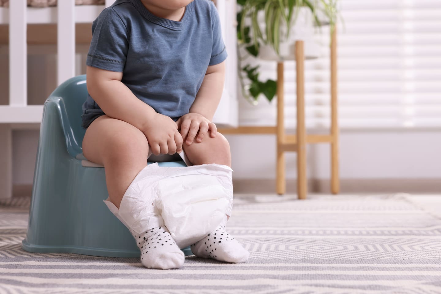 Potty Training, Melatih Anak Mandiri Buang Air
