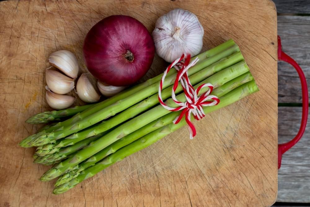 Prebiotics: The Key to a Healthy Digestive Tract for the Little One