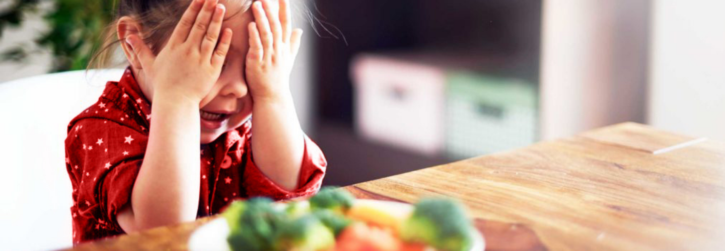 Resep Menu Makan Anak 2 Tahun yang Enak dan Bergizi