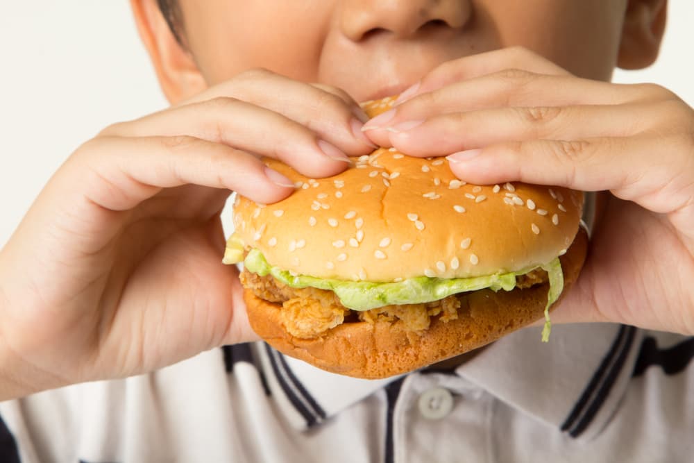 Ide-ide Bekal Makanan Sekolah Enak untuk Si Kecil